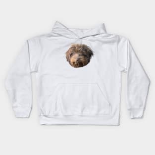 Havanese Dog Portrait Kids Hoodie